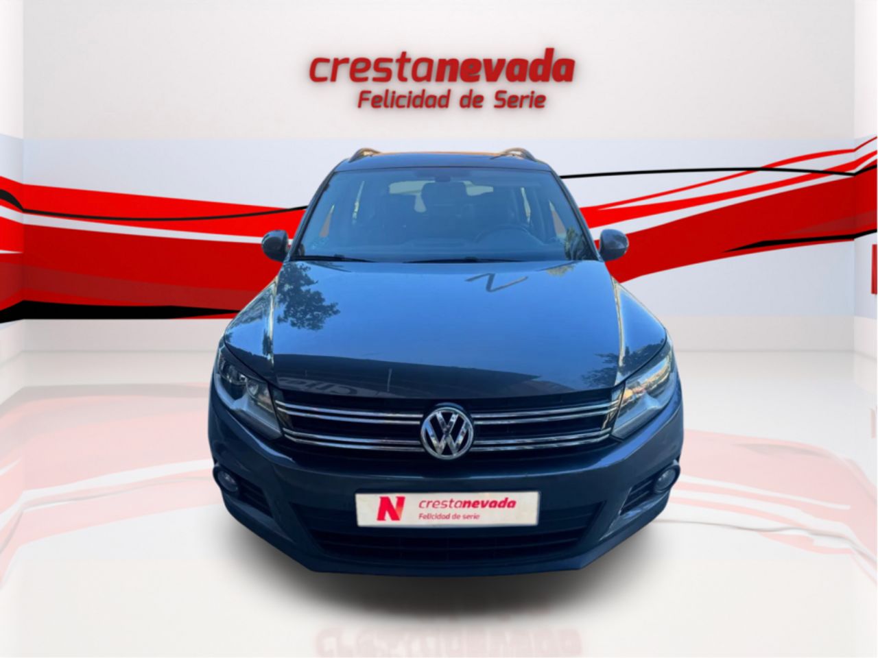 volkswagen tiguan 2015 / foto grande (2)