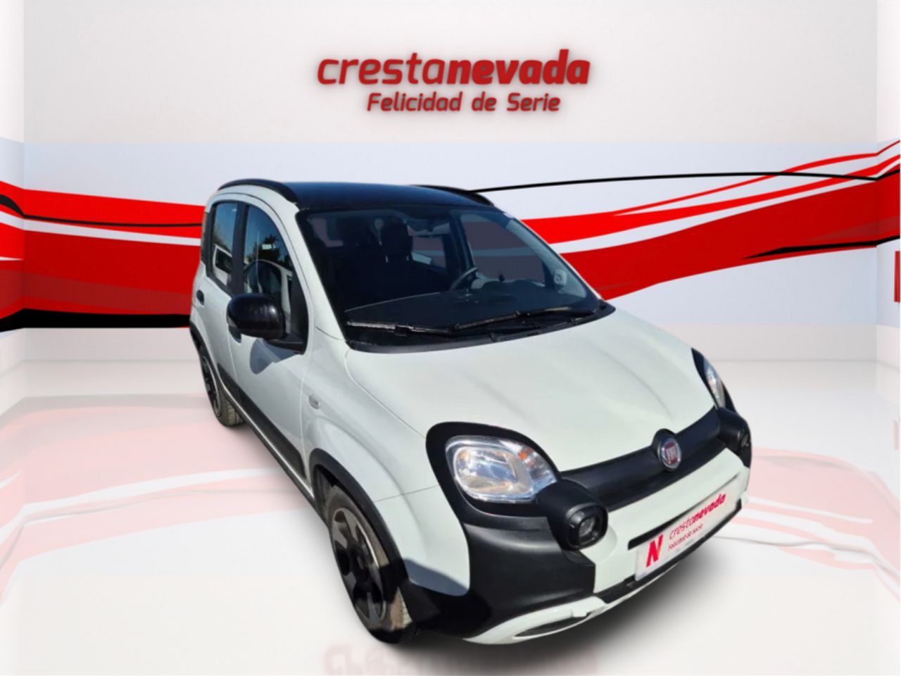 fiat panda 2022 / foto grande (2)