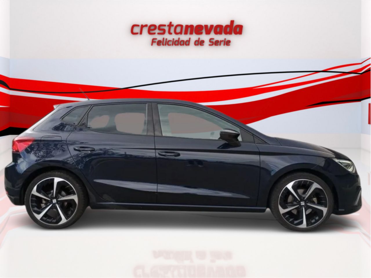 seat ibiza 2021 / foto grande (2)