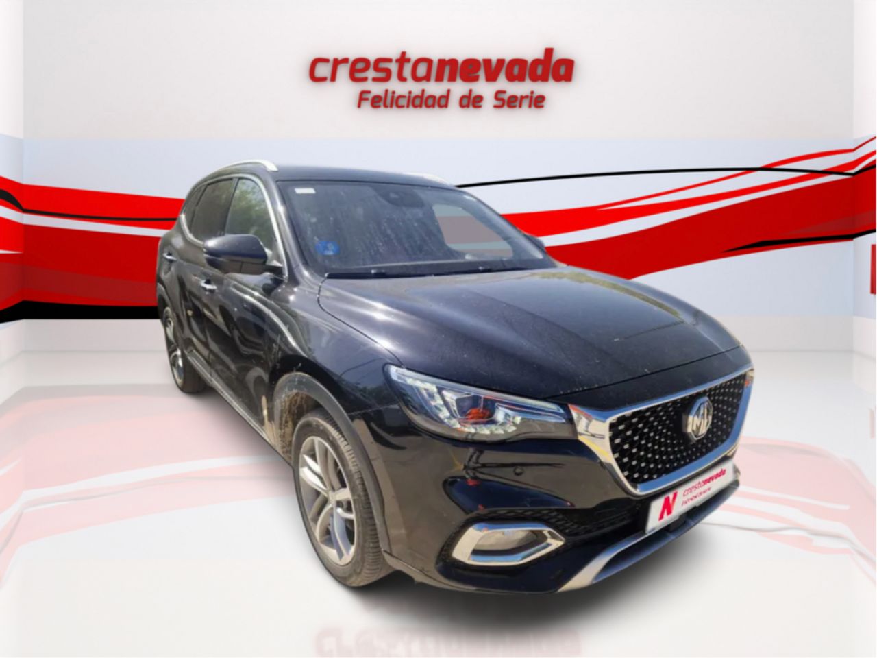 mg ehs 2022 / foto grande (2)