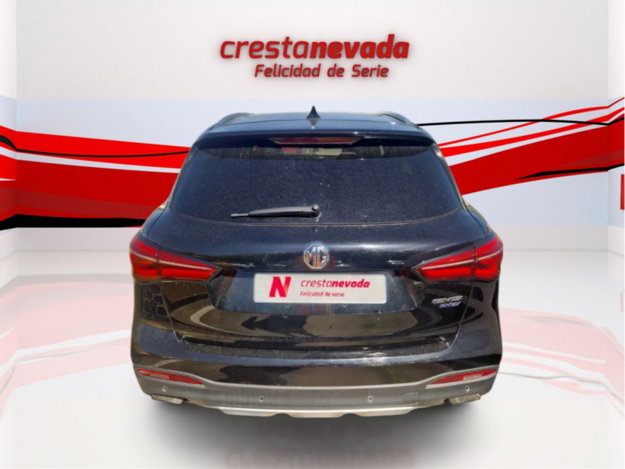 mg ehs 2022 / foto grande (3)