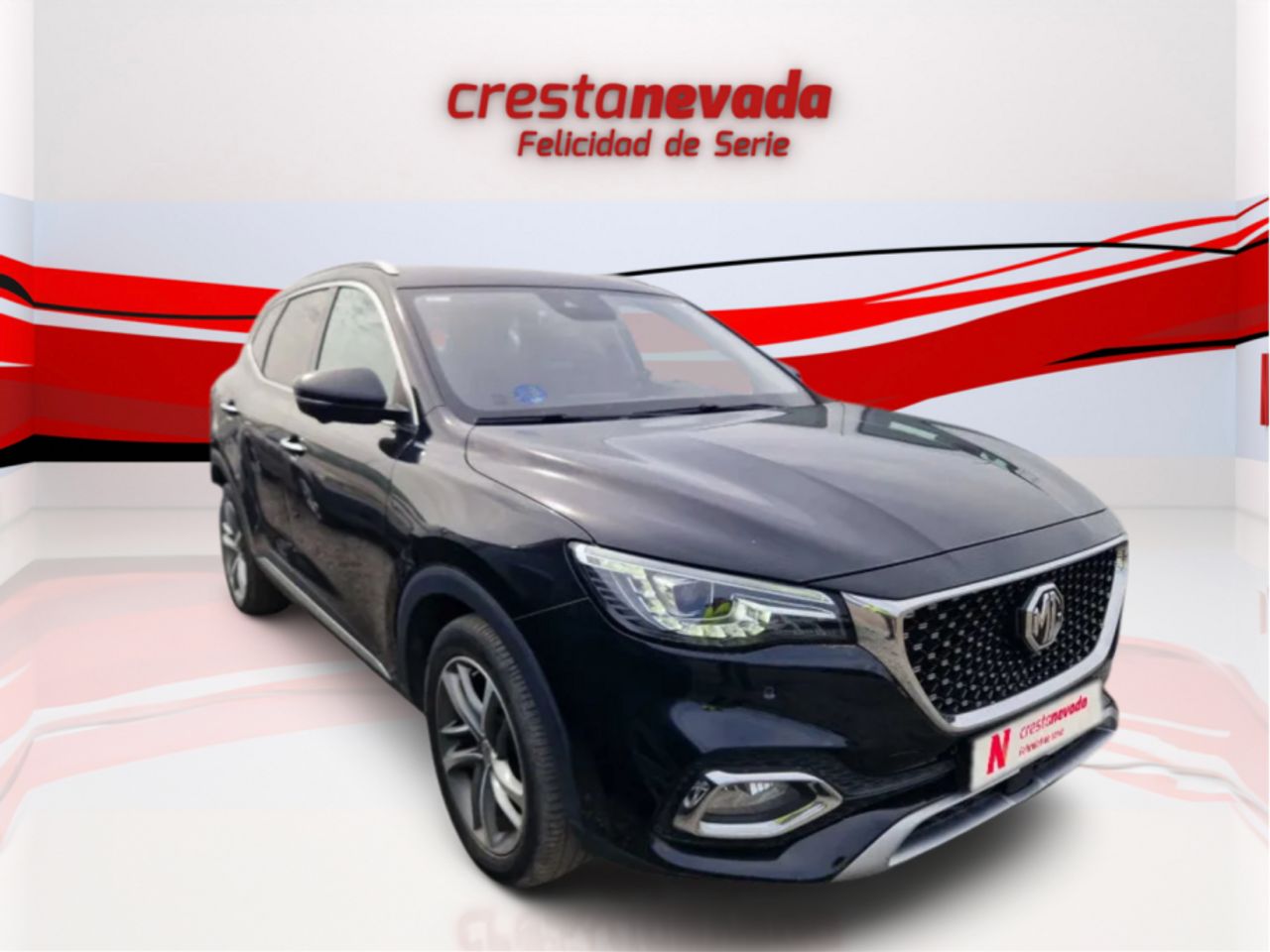 mg ehs 2022 / foto grande (2)