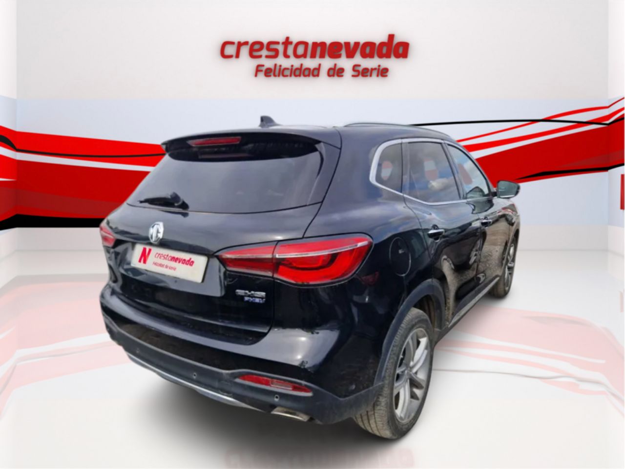 mg ehs 2022 / foto grande (3)