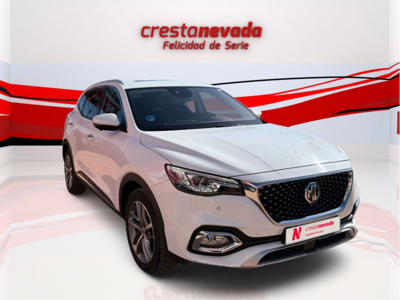 mg ehs 2022 / foto grande (3)