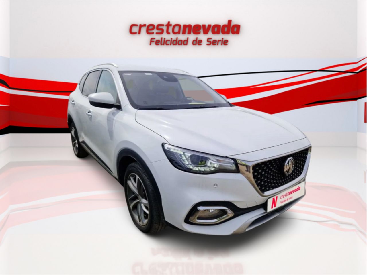 mg ehs 2022 / foto grande (2)