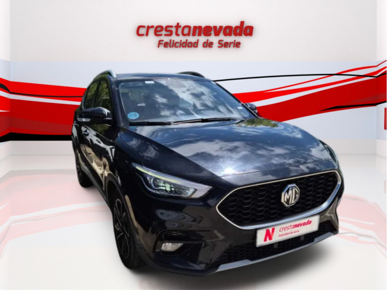 mg zs 2022 / foto grande (2)