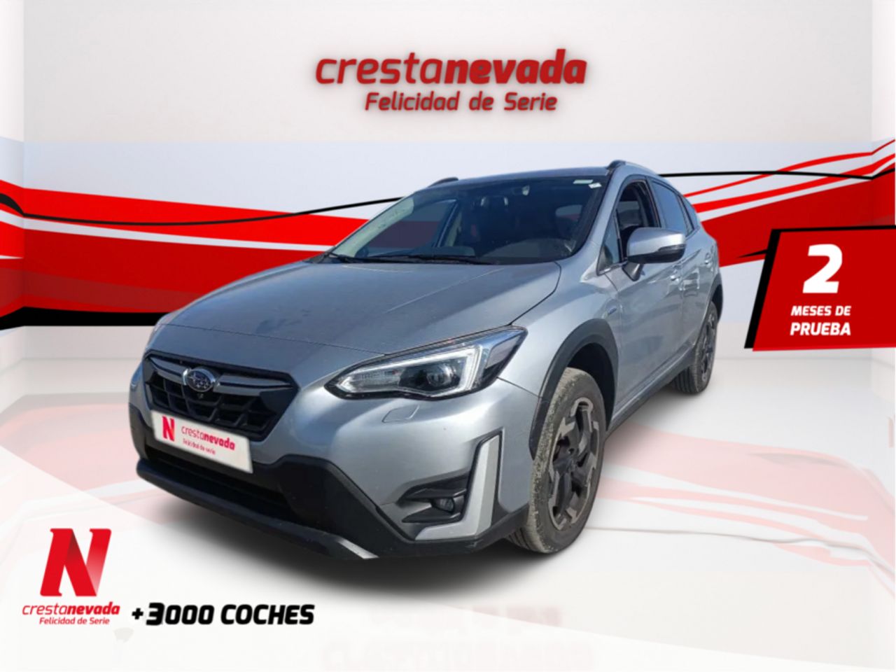 Sujetador etiquetas teleno  de segunda mano - subaru xv 2023 /