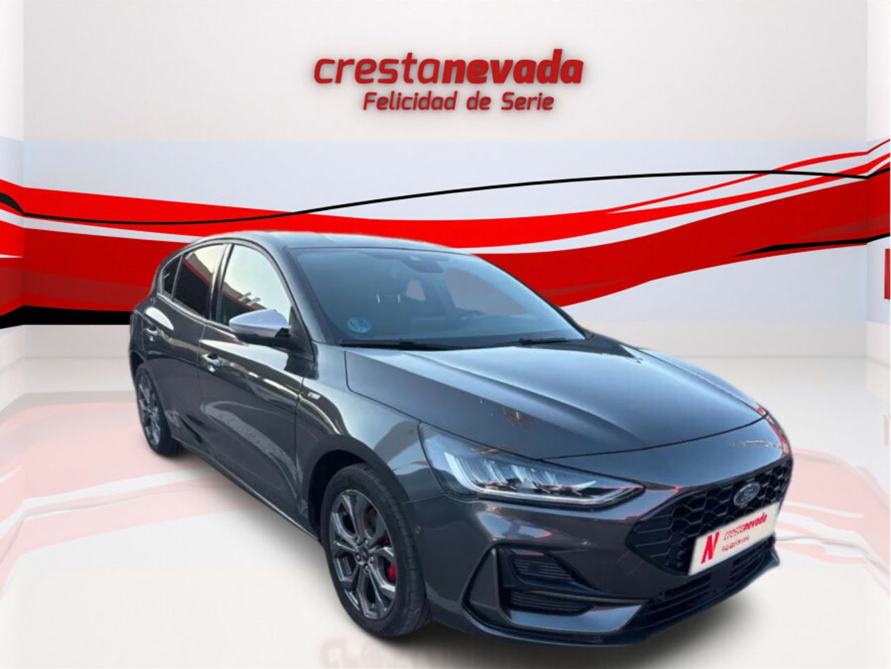 ford focus 2022 / foto grande (3)