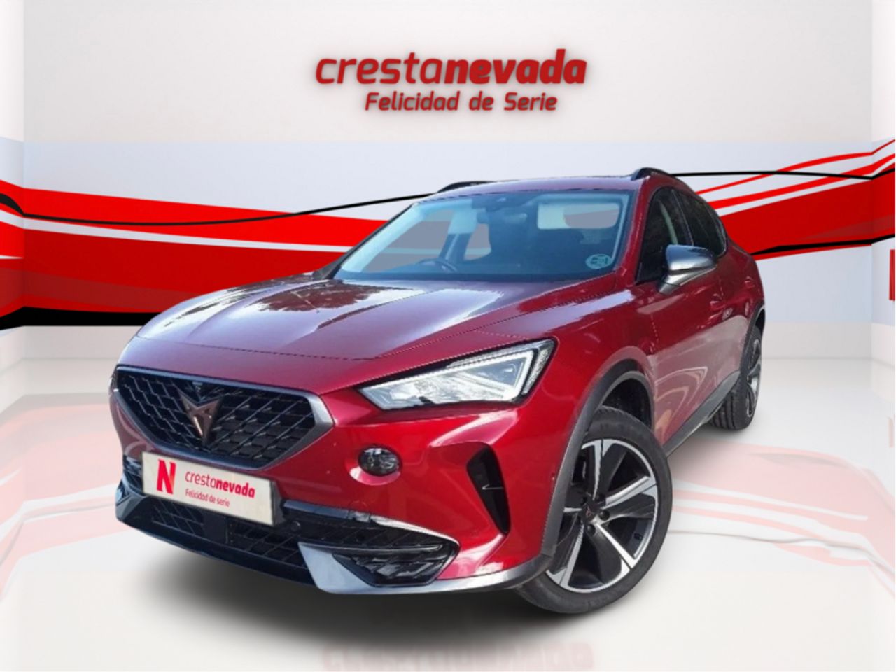 Foto cupra formentor 2023 /