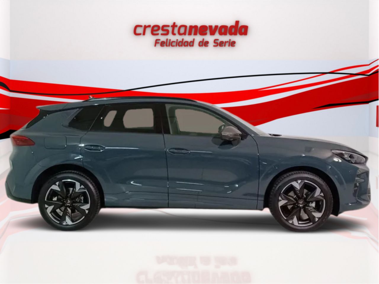 cupra terramar 2024 / foto grande (2)