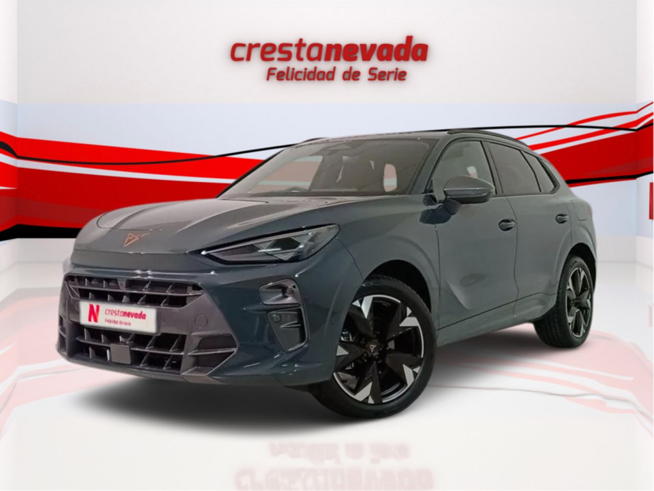 Foto cupra terramar 2024 /