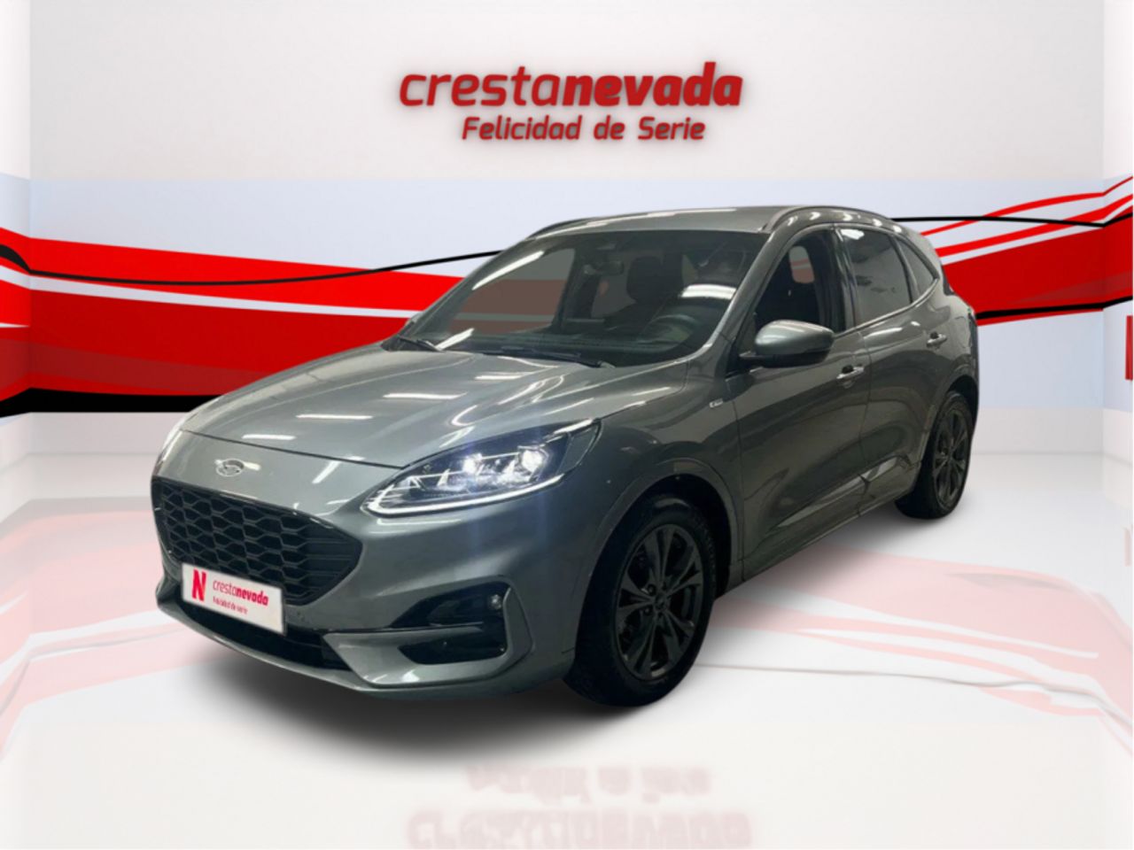 Foto ford kuga 2022 /