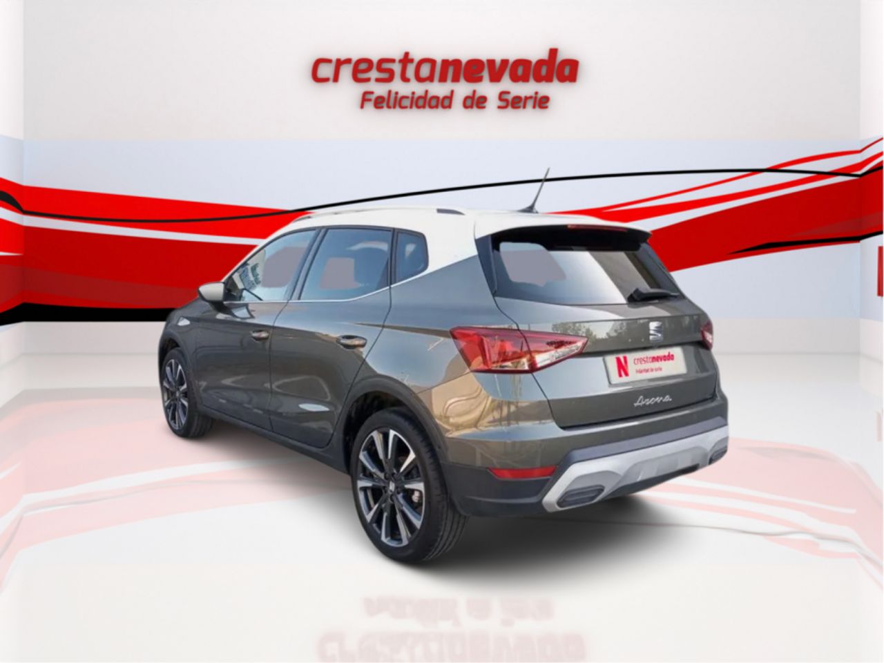 seat arona 2024 / foto grande (3)