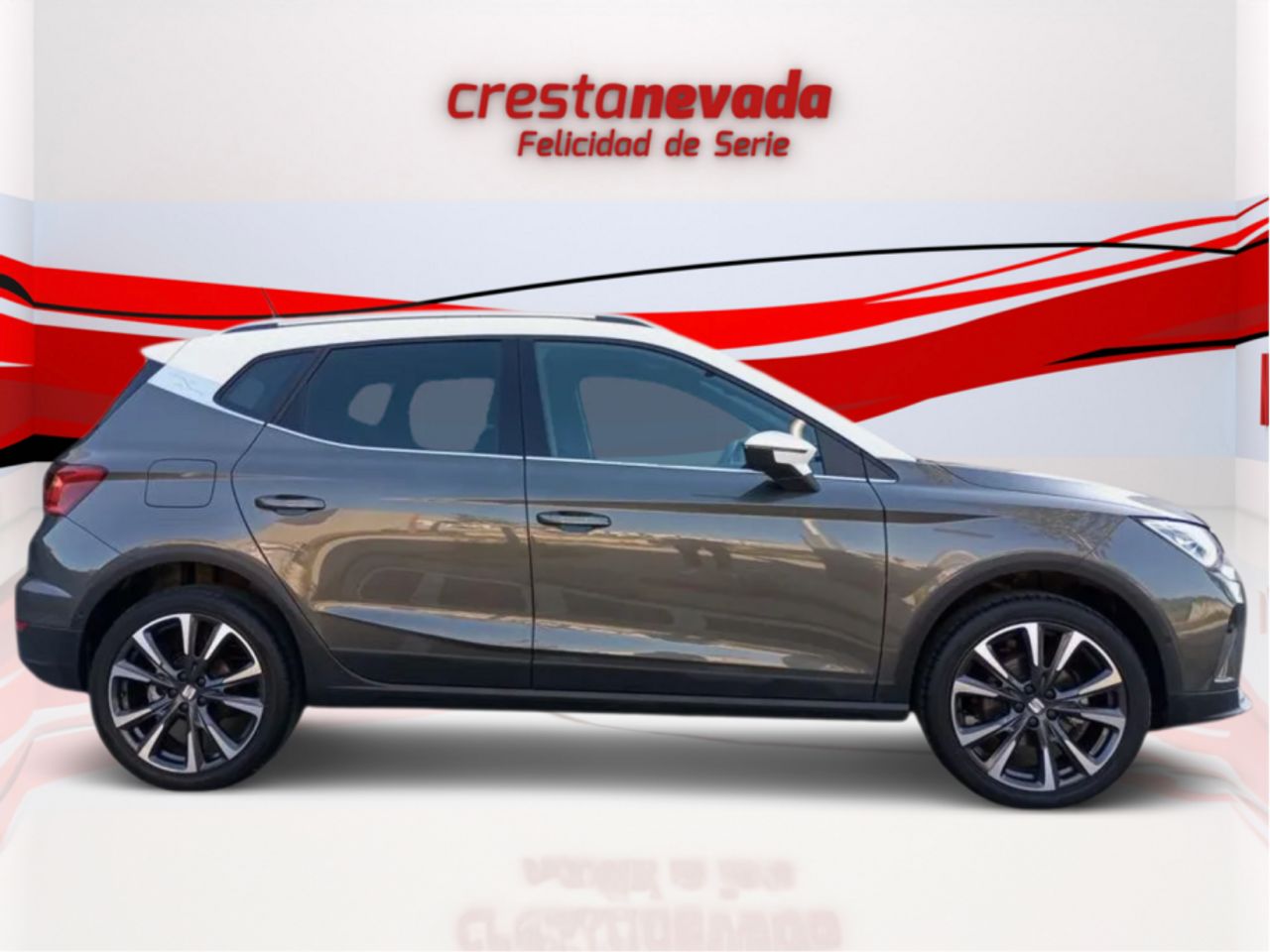 seat arona 2024 / foto grande (2)