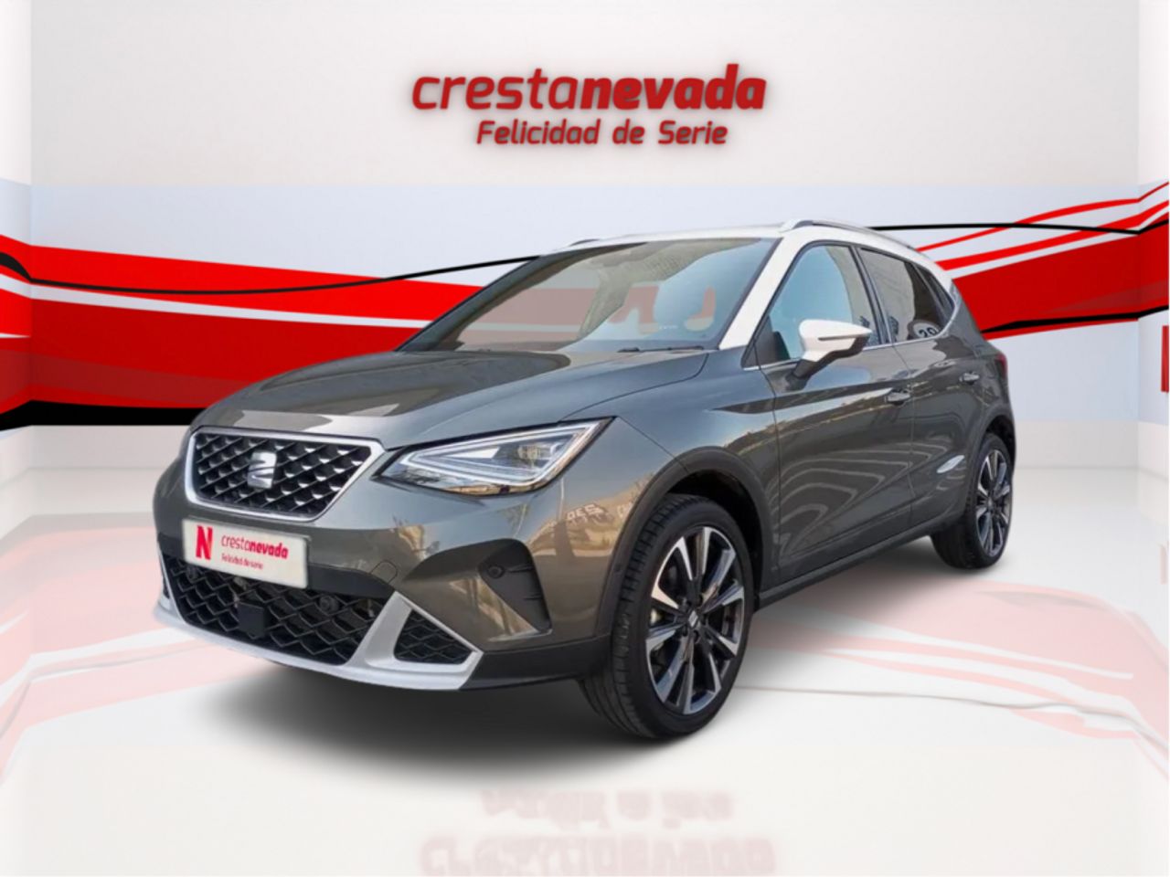 Foto seat arona 2024 /
