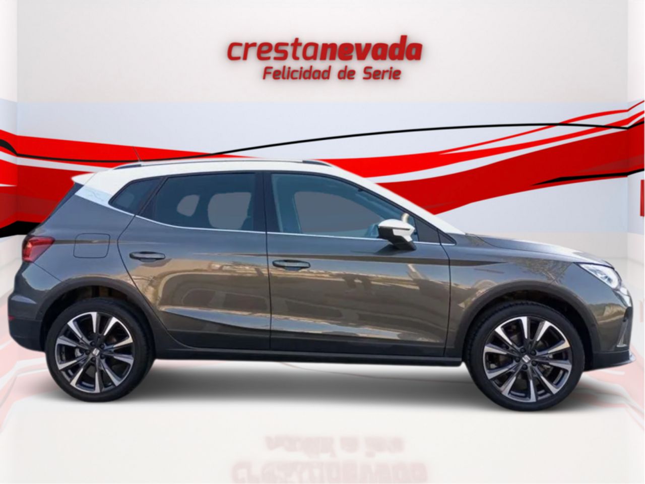 seat arona 2024 / foto grande (2)