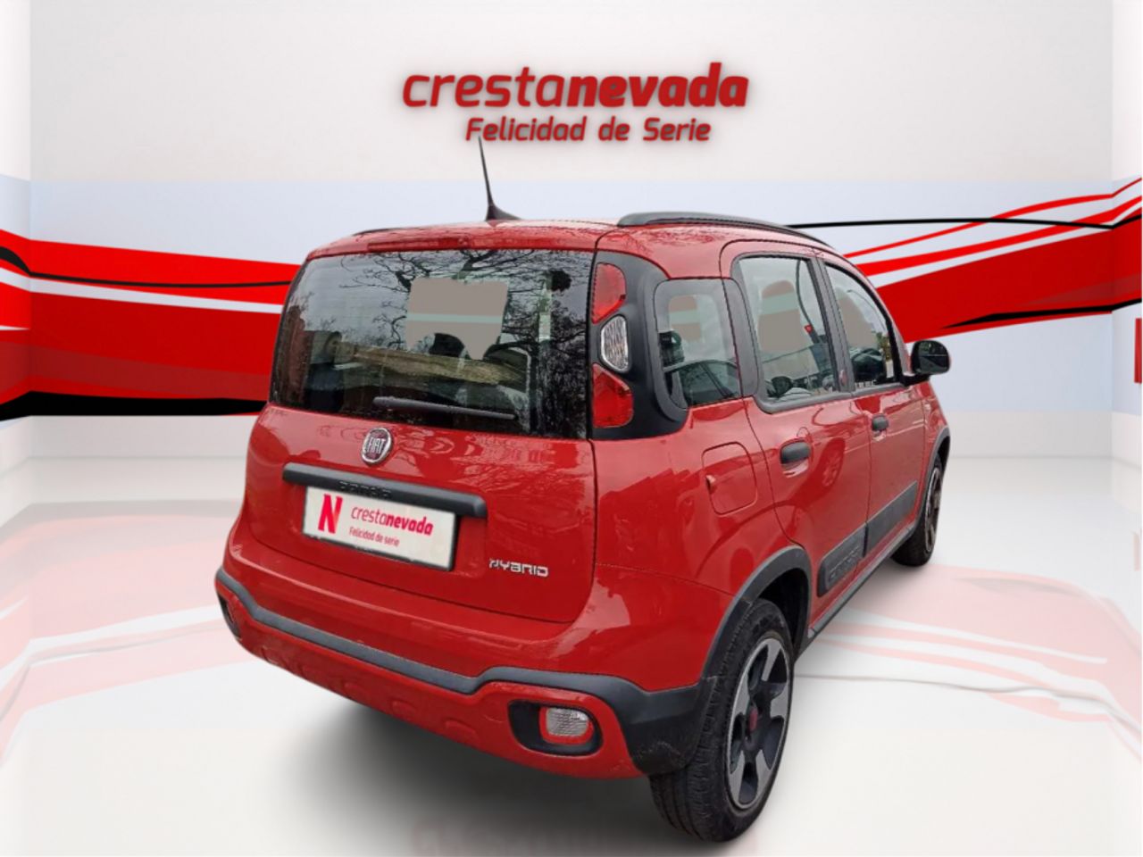 fiat panda 2022 / foto grande (3)