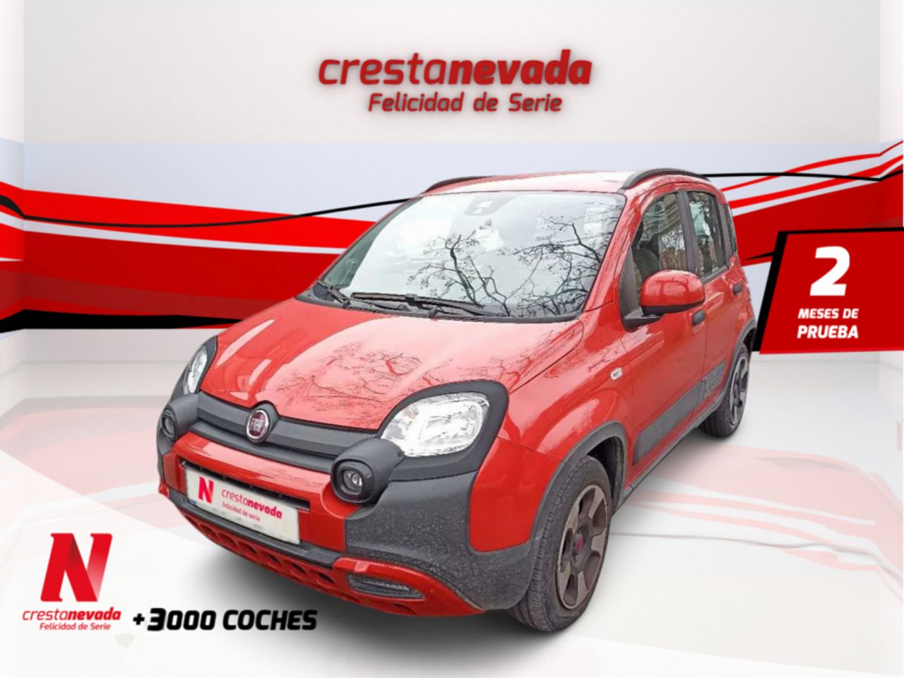 Foto fiat panda 2022 /
