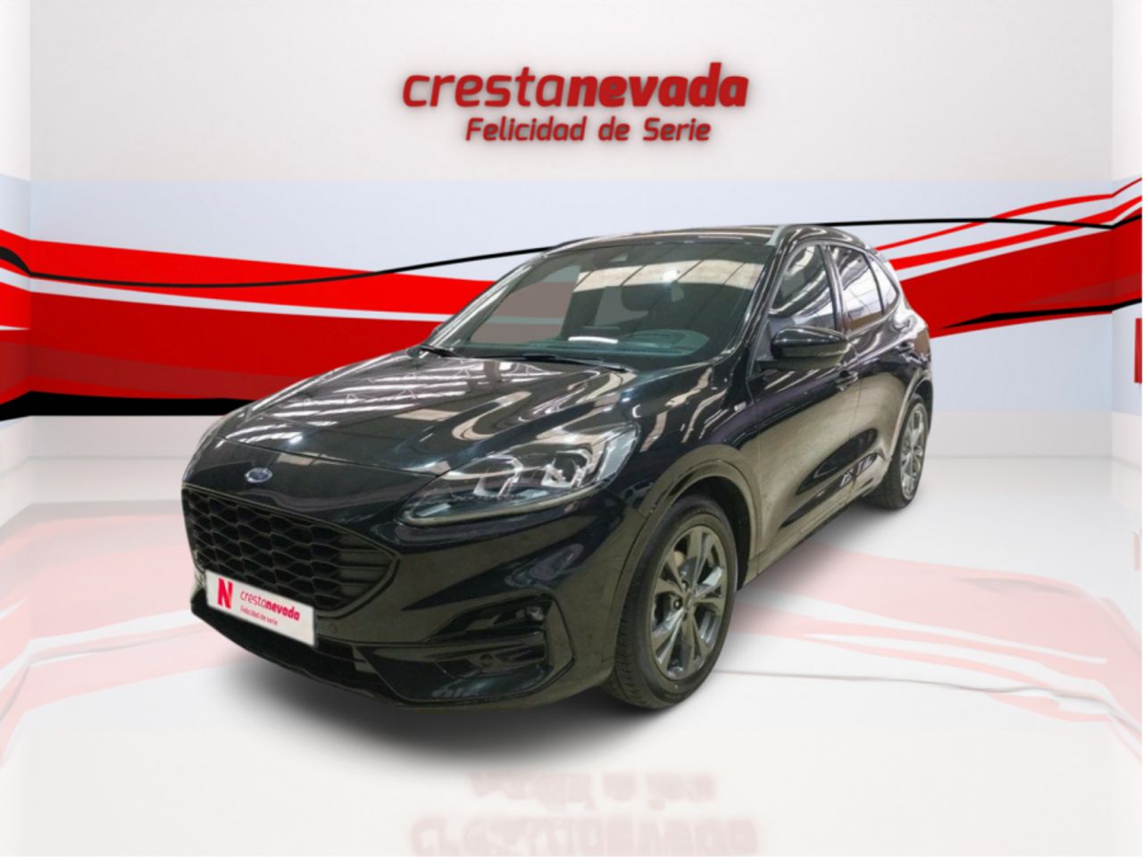 Foto ford kuga 2022 /