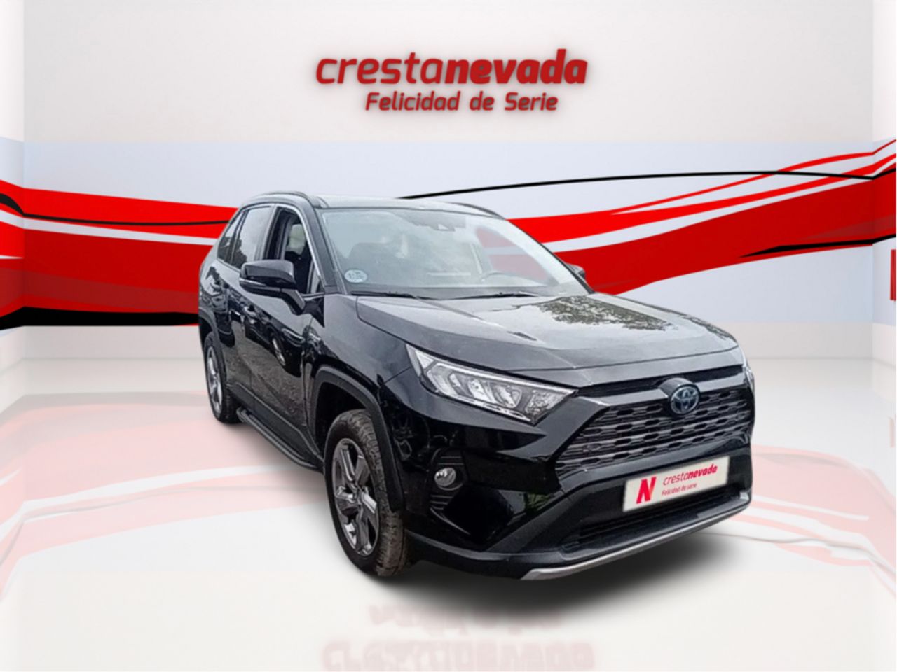toyota rav4 2021 / foto grande (3)