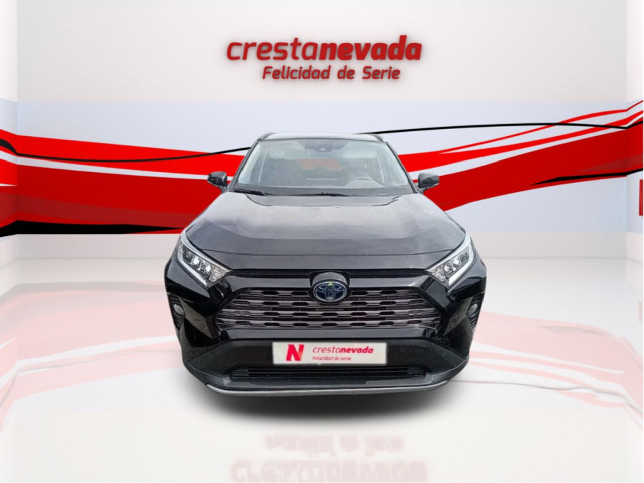 toyota rav4 2021 / foto grande (2)