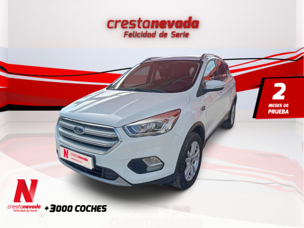 ford kuga 2019 /