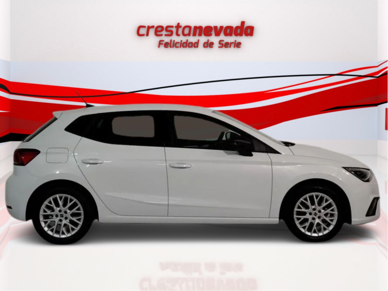 seat ibiza 2024 / foto grande (3)