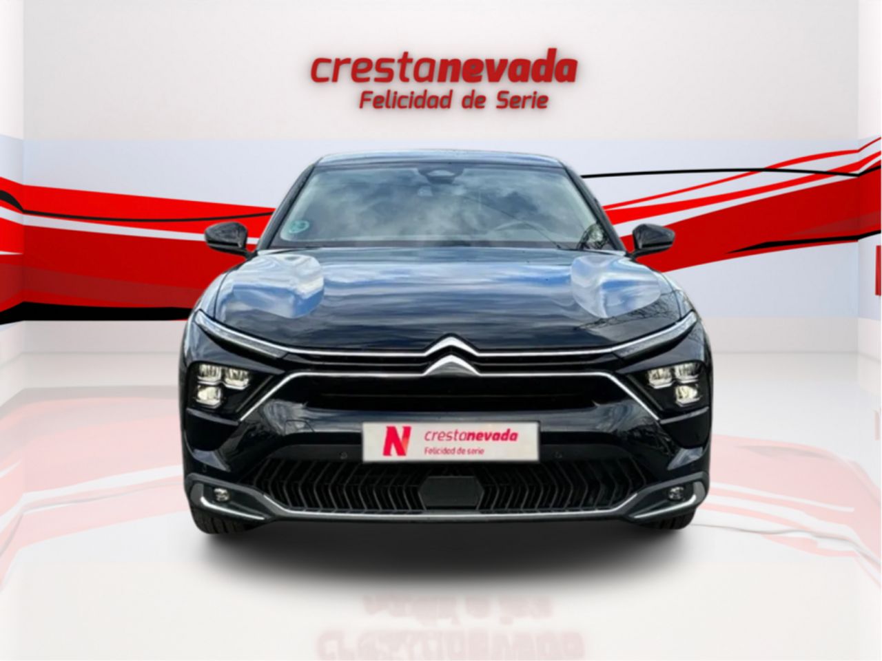 citroën c5 x 2022 / foto grande (3)