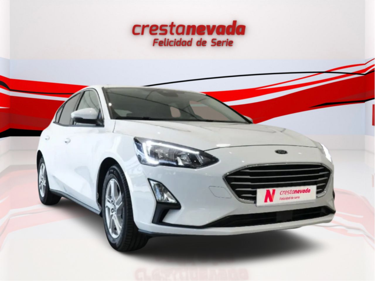 ford focus 2019 / foto grande (3)