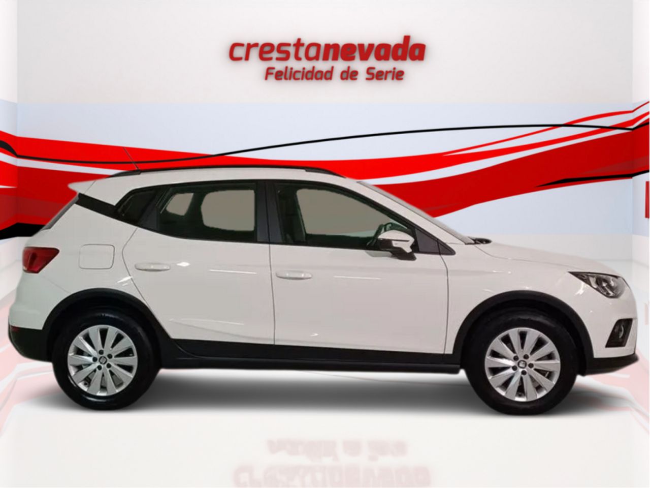 seat arona 2021 / foto grande (2)