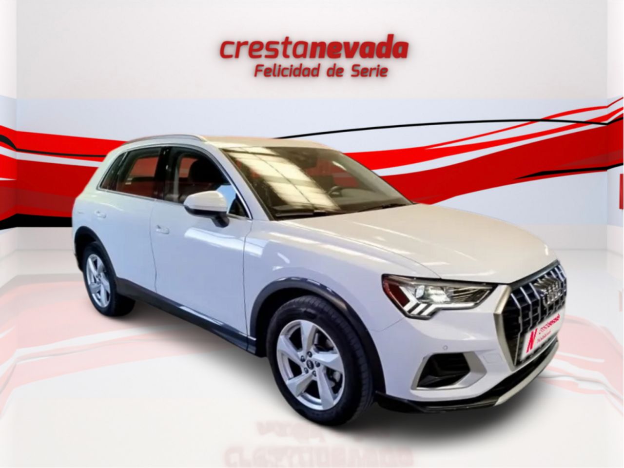 audi q3 2021 / foto grande (3)