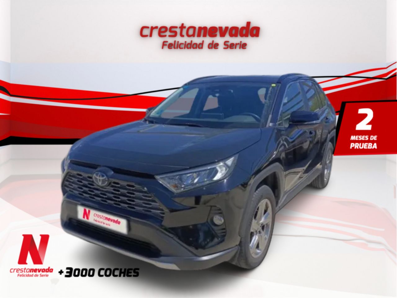 Foto toyota rav4 2019 /