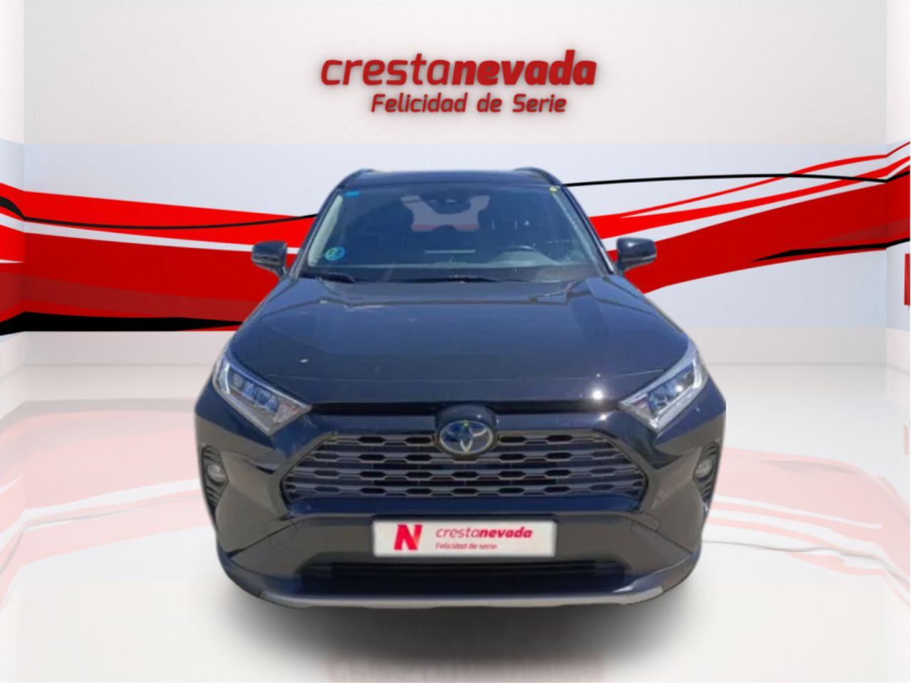 toyota rav4 2019 / foto grande (2)