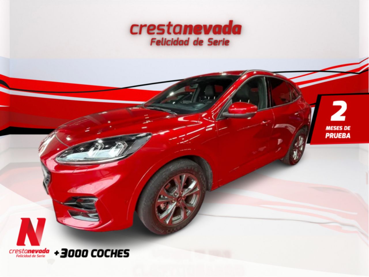 Ford Kuga STLine X 2.0 EcoBlue MHEV 110kW 150CV