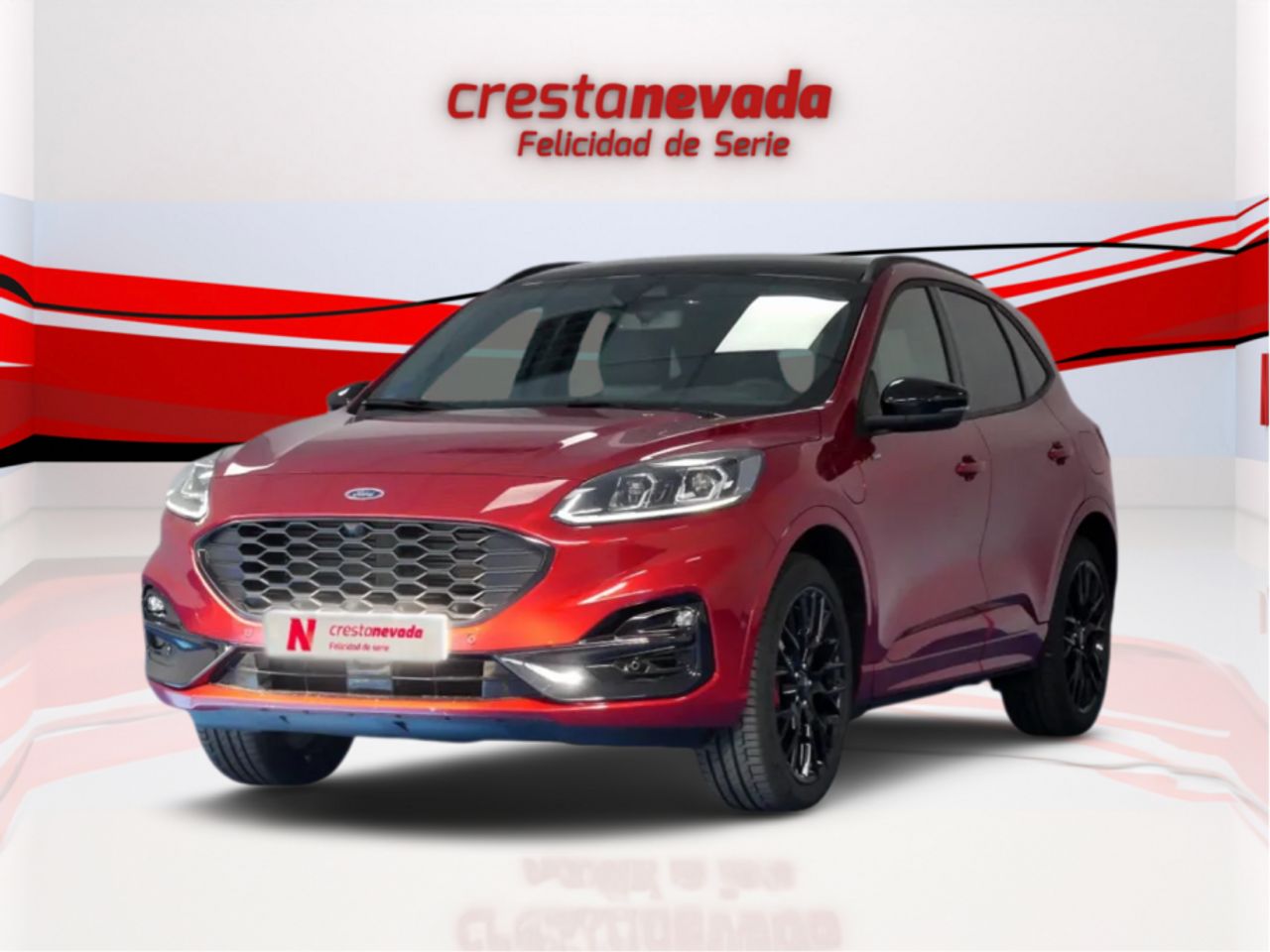 Foto ford kuga 2023 /