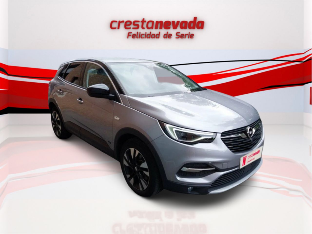 opel grandland x 2021 / foto grande (3)