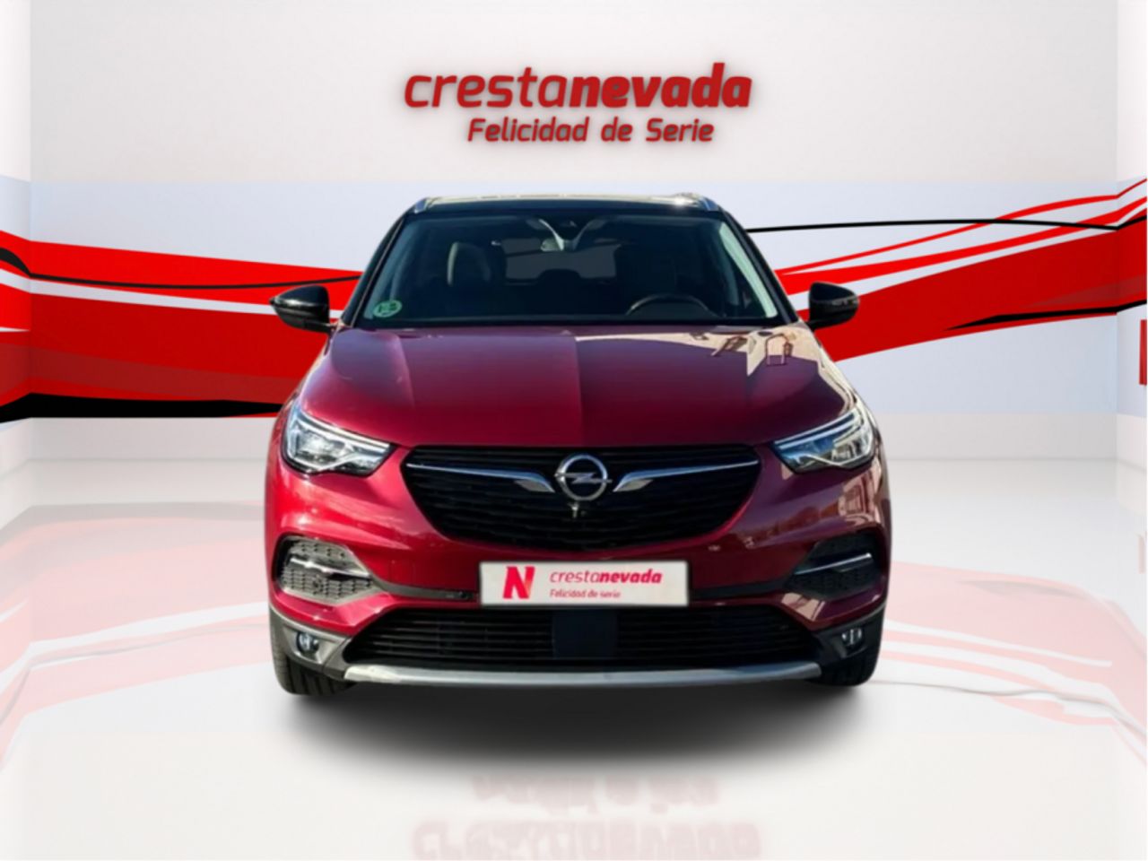 opel grandland x 2021 / foto grande (3)