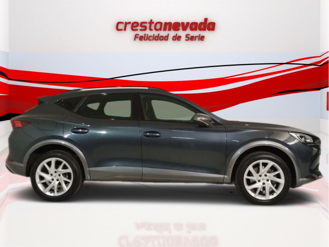cupra formentor 2022 / foto grande (2)