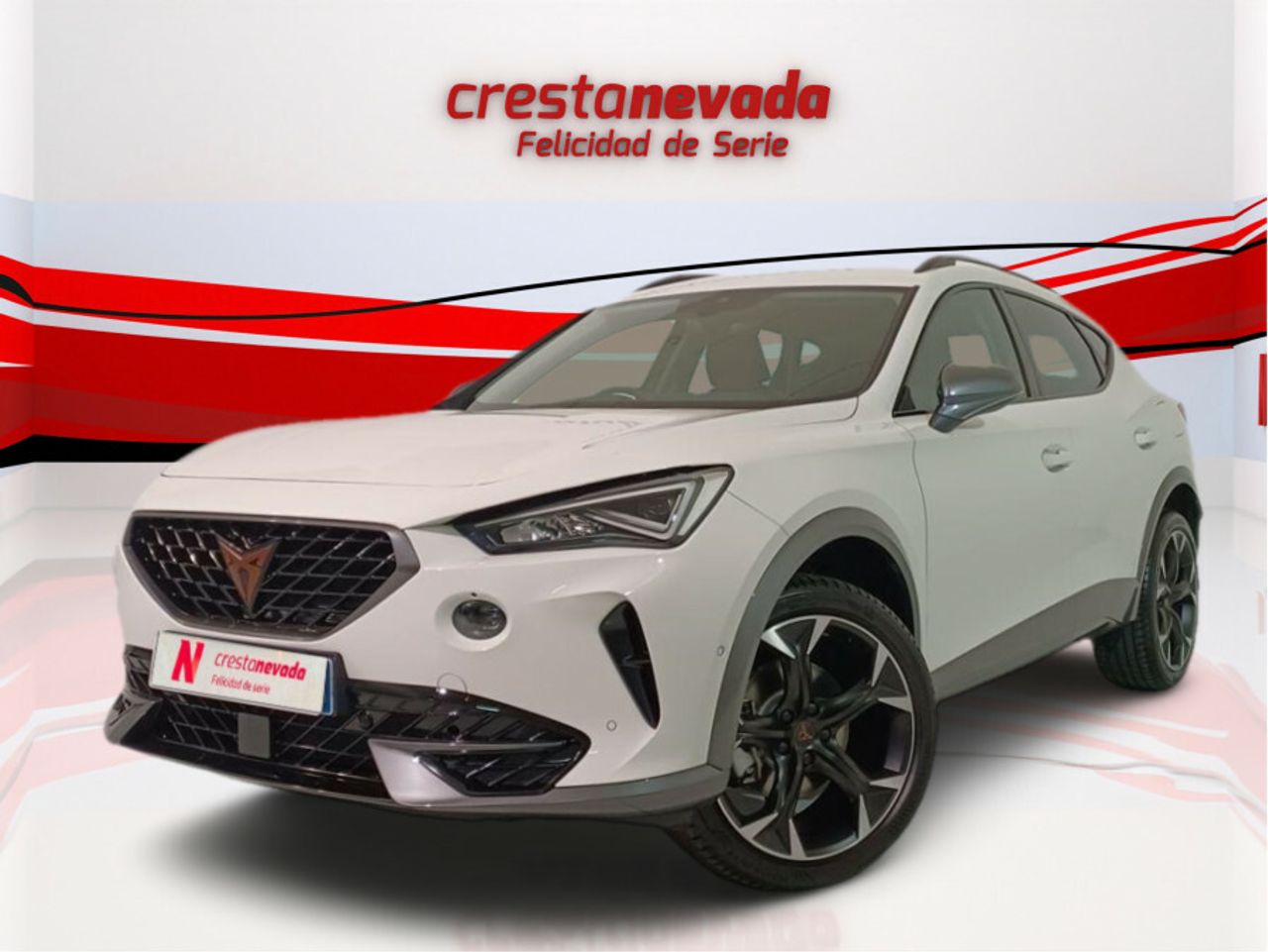 Foto cupra formentor 2023 /