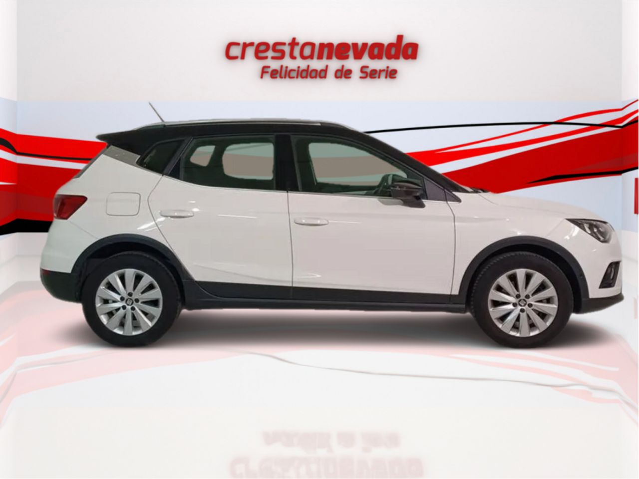 seat arona 2019 / foto grande (3)