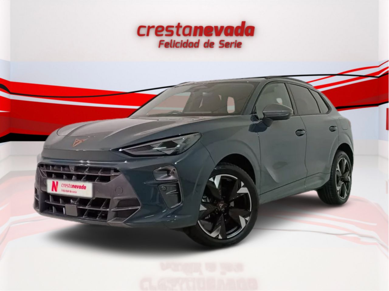 cupra terramar 2024 /