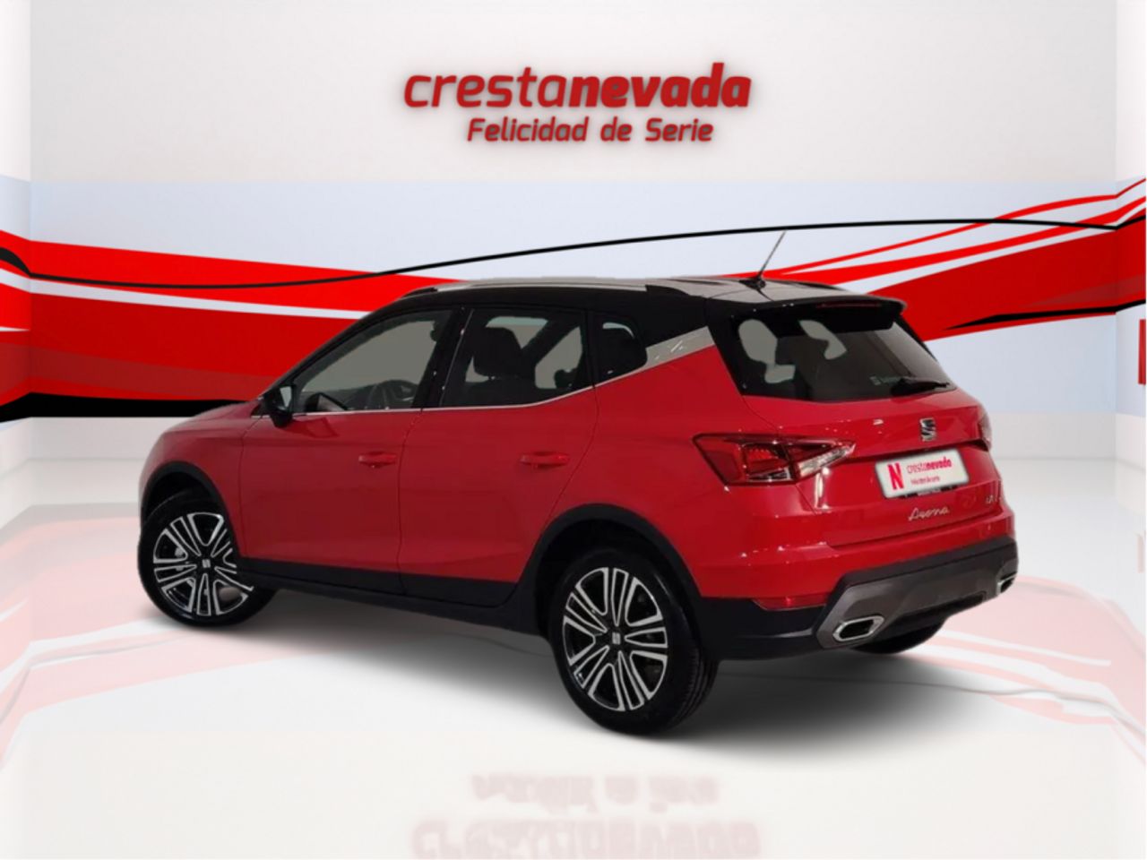 seat arona 2024 / foto grande (3)