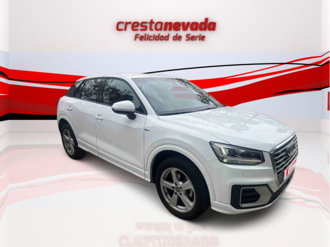 audi q2 2019 / foto grande (3)