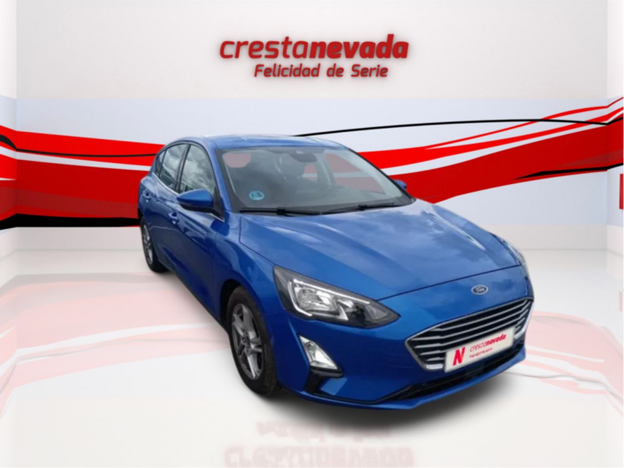 ford focus 2022 / foto grande (3)