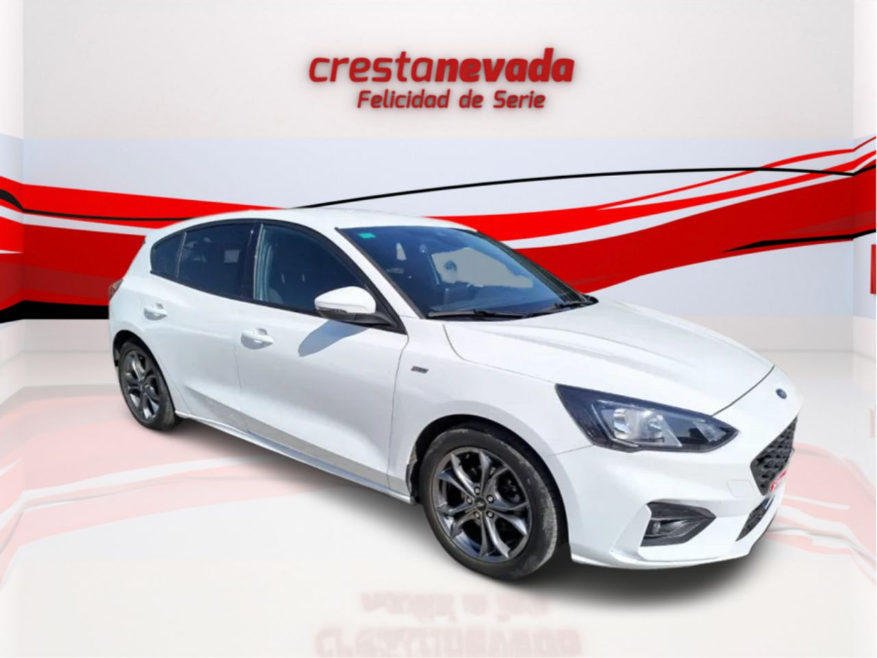 ford focus 2019 / foto grande (3)