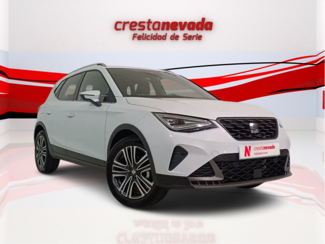 seat arona 2024 / foto grande (2)