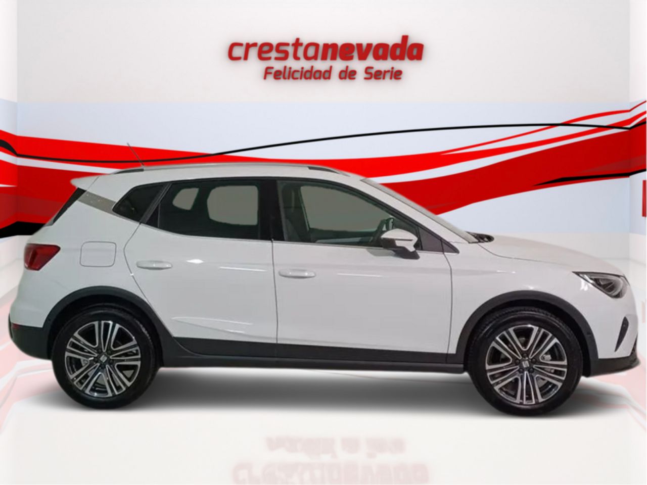 seat arona 2024 / foto grande (3)