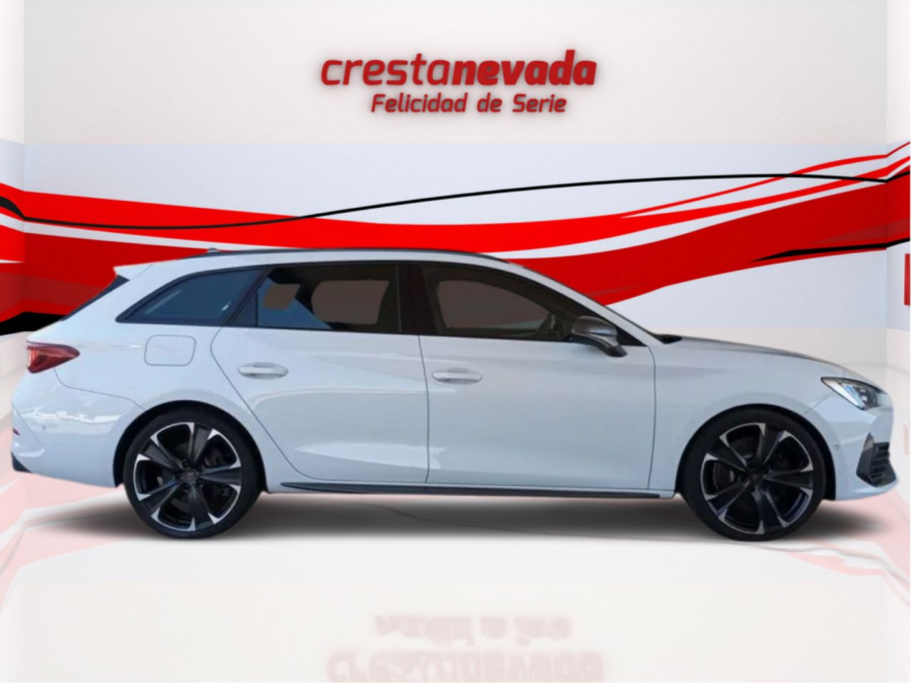 cupra león 2023 / foto grande (3)