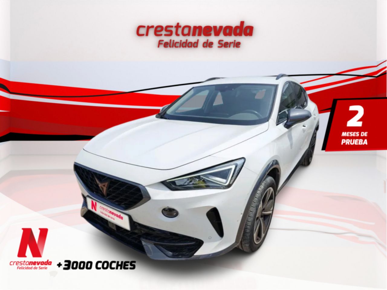 Foto cupra formentor 2022 /