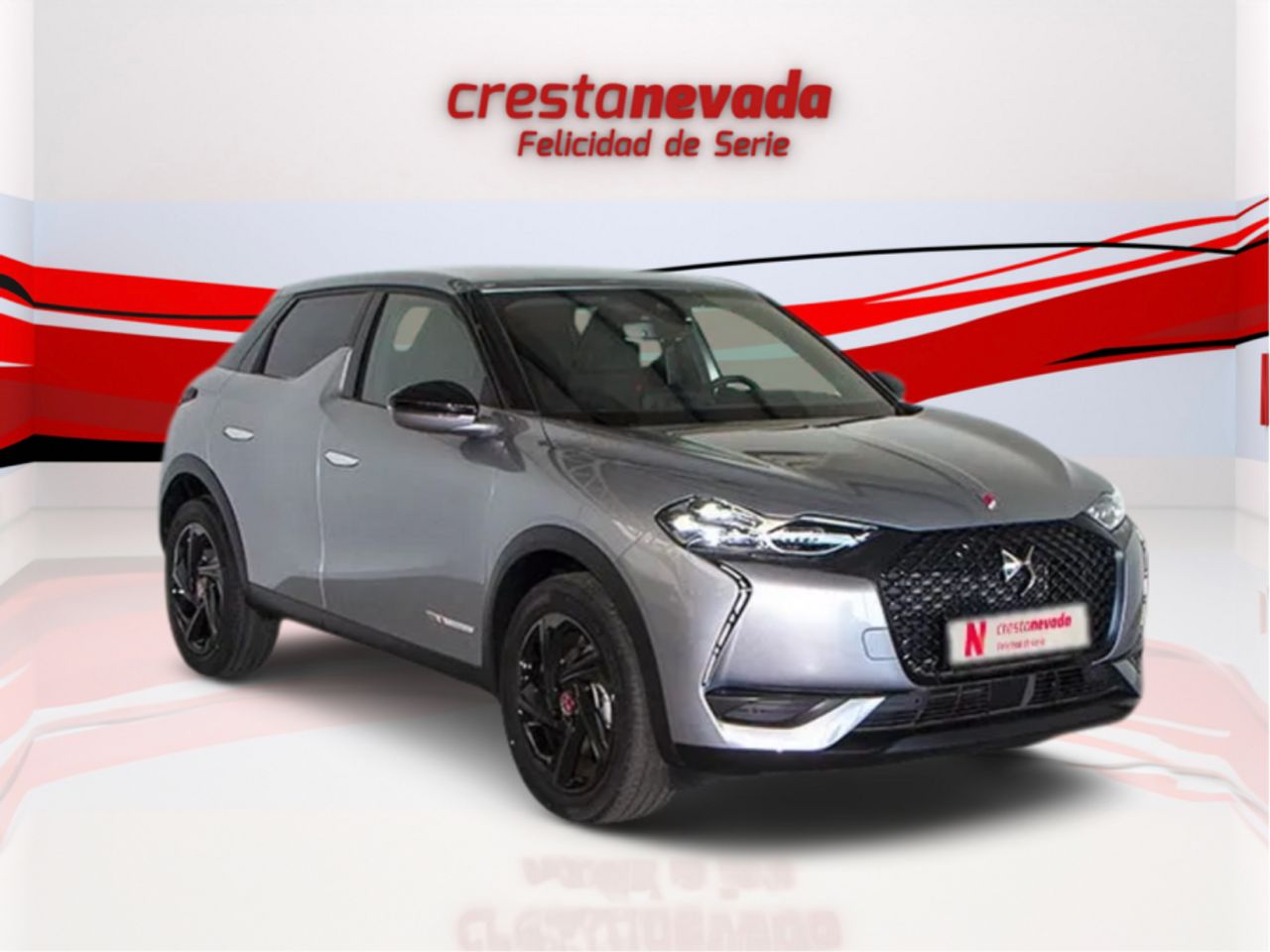 ds ds 3 2022 / foto grande (3)